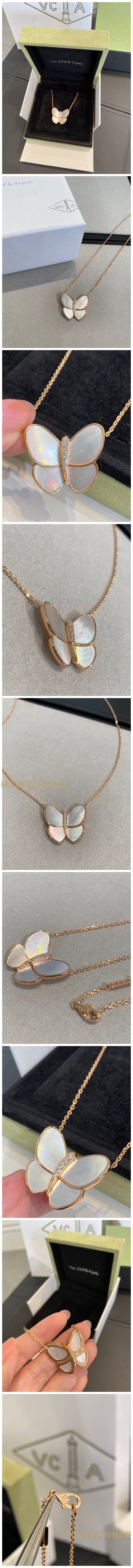 146.jpg