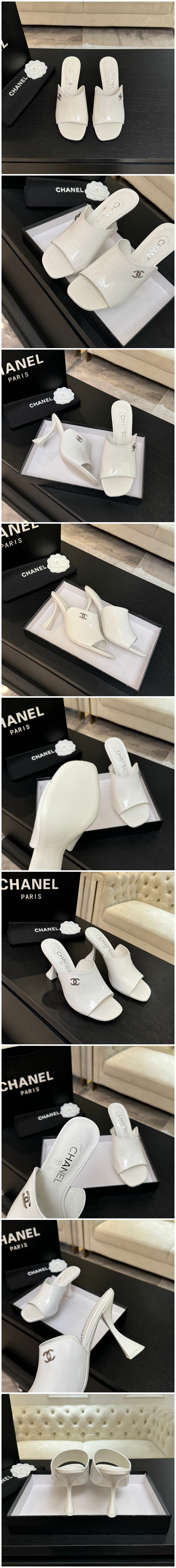 498.jpg